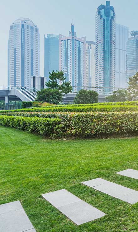 Contact BLH Management for Commercial Landscaping Services