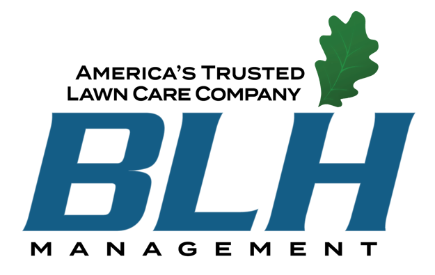 BLH Management Logo